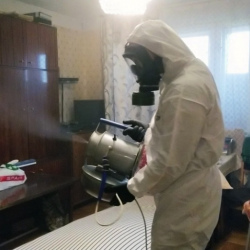 Дезинфекция от клопов в Подмоклово