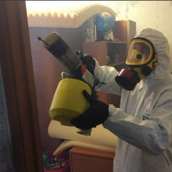 Уничтожение клопов в квартире. Подмоклово